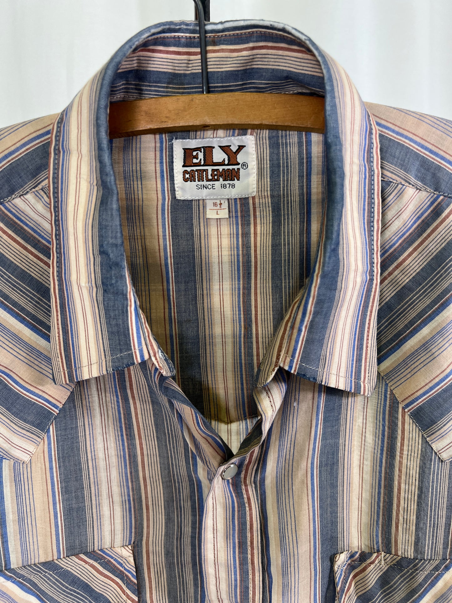 80s Ely Cattleman Brown and Blue Striped Pearl Snap Western Shirt