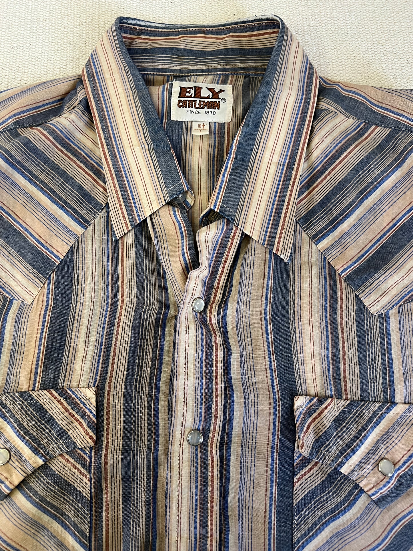 80s Ely Cattleman Brown and Blue Striped Pearl Snap Western Shirt