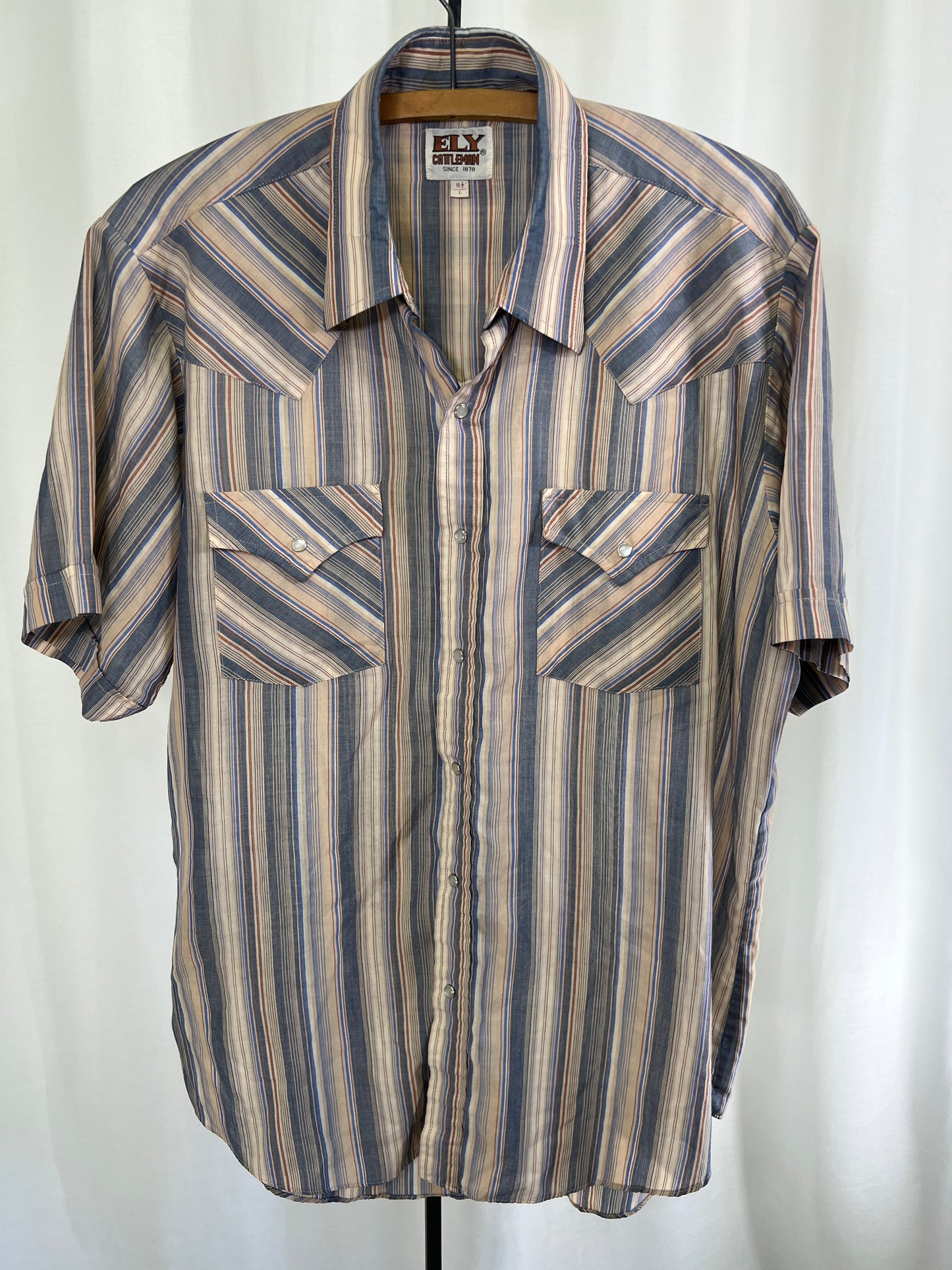 80s Ely Cattleman Brown and Blue Striped Pearl Snap Western Shirt