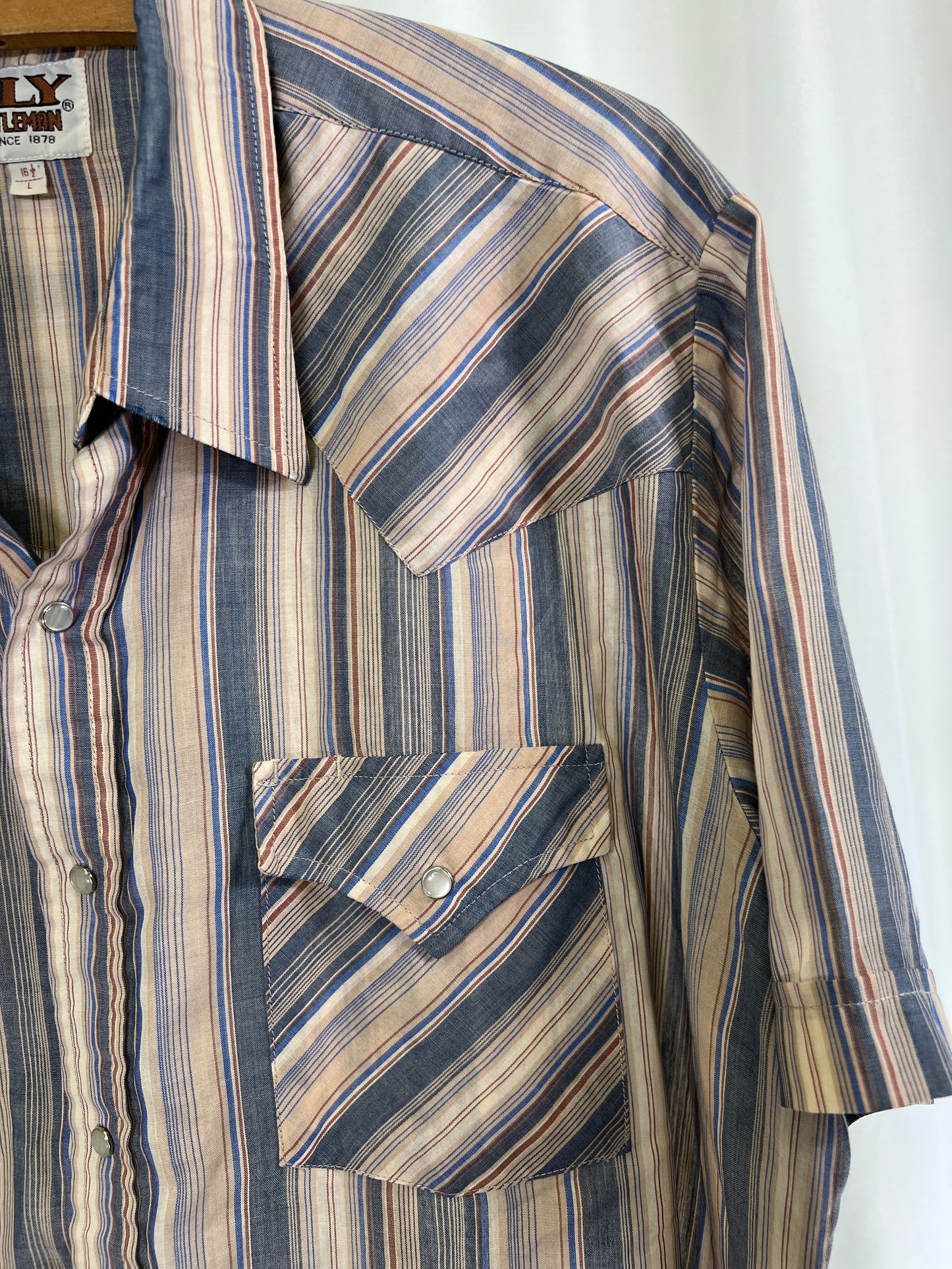 80s Ely Cattleman Brown and Blue Striped Pearl Snap Western Shirt