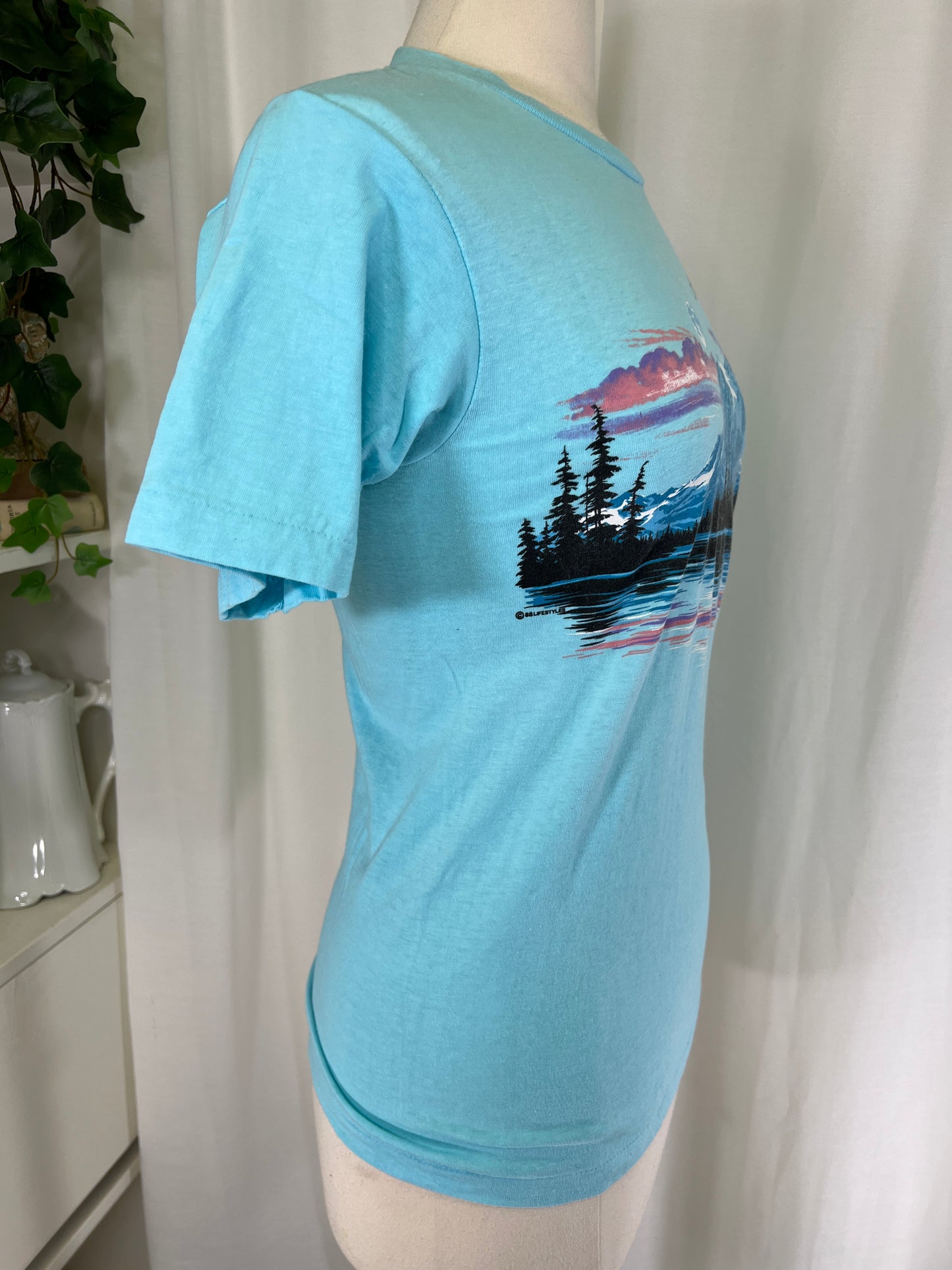 80s Lake Tahoe Souvenir Tourist Tee Shirt